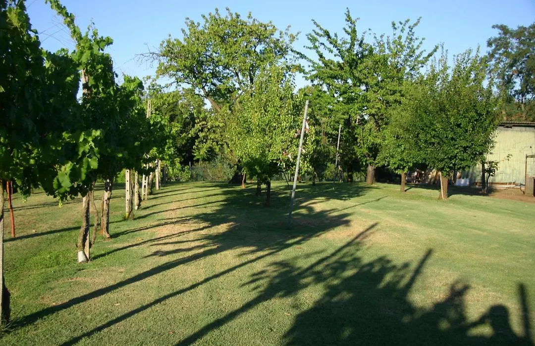 Villa Lilli-1