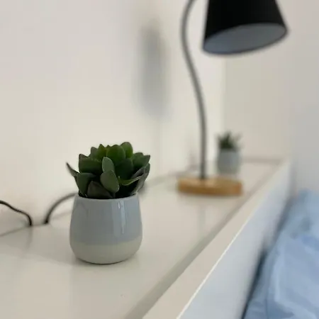 Daisy House-2